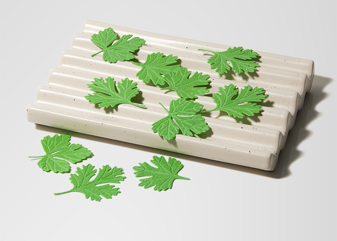 cilantro-shaped soap